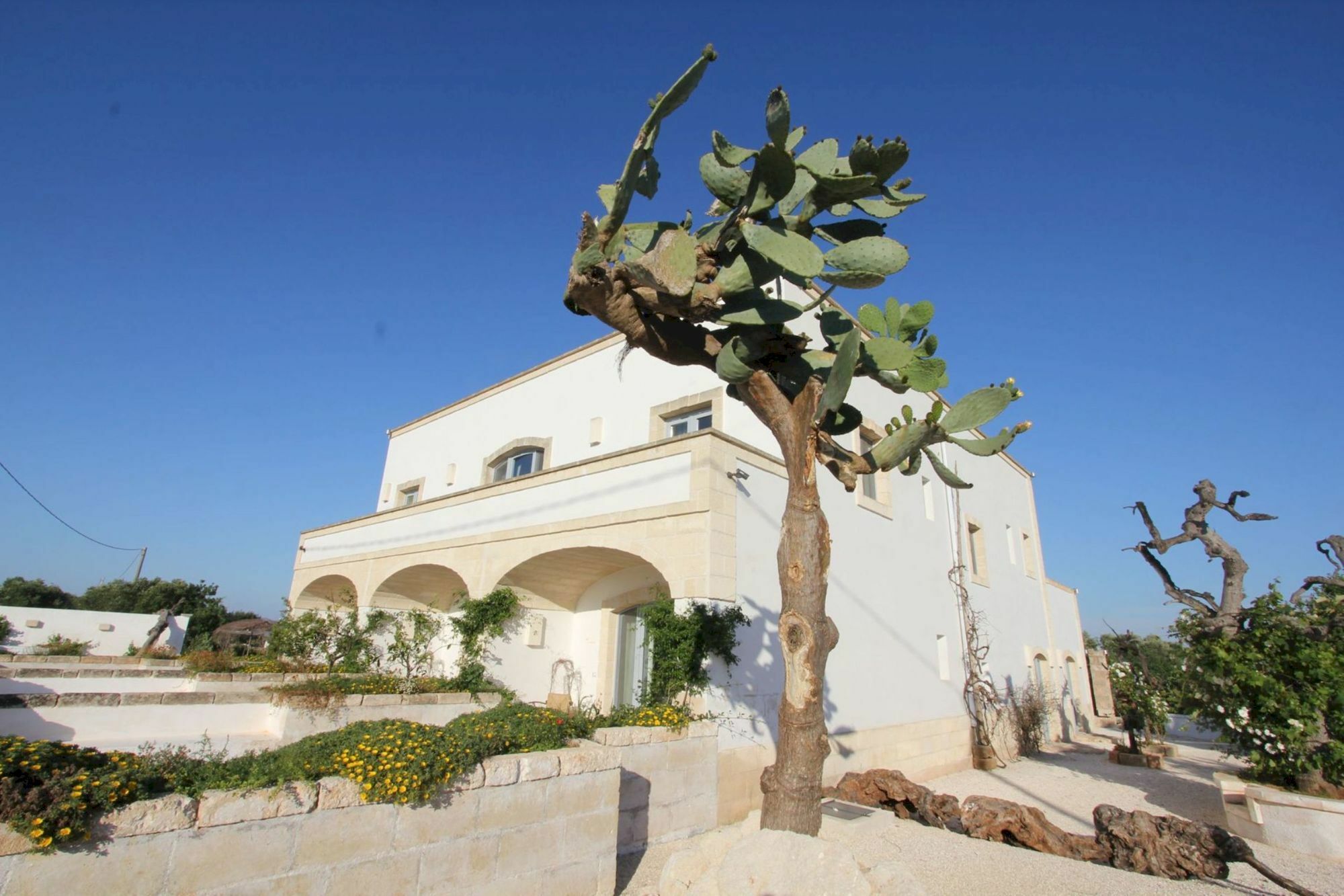 Masseria Lama Di Coccaro Savelletri Eksteriør bilde